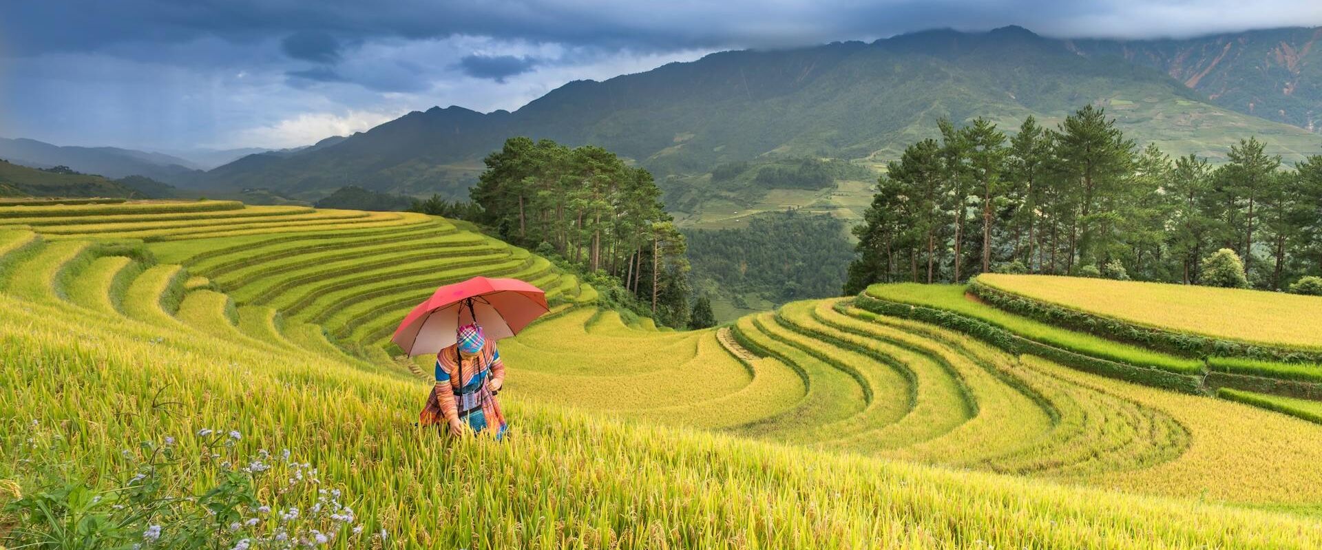 Walk alone, connect deeply with Vietnam’s highlands